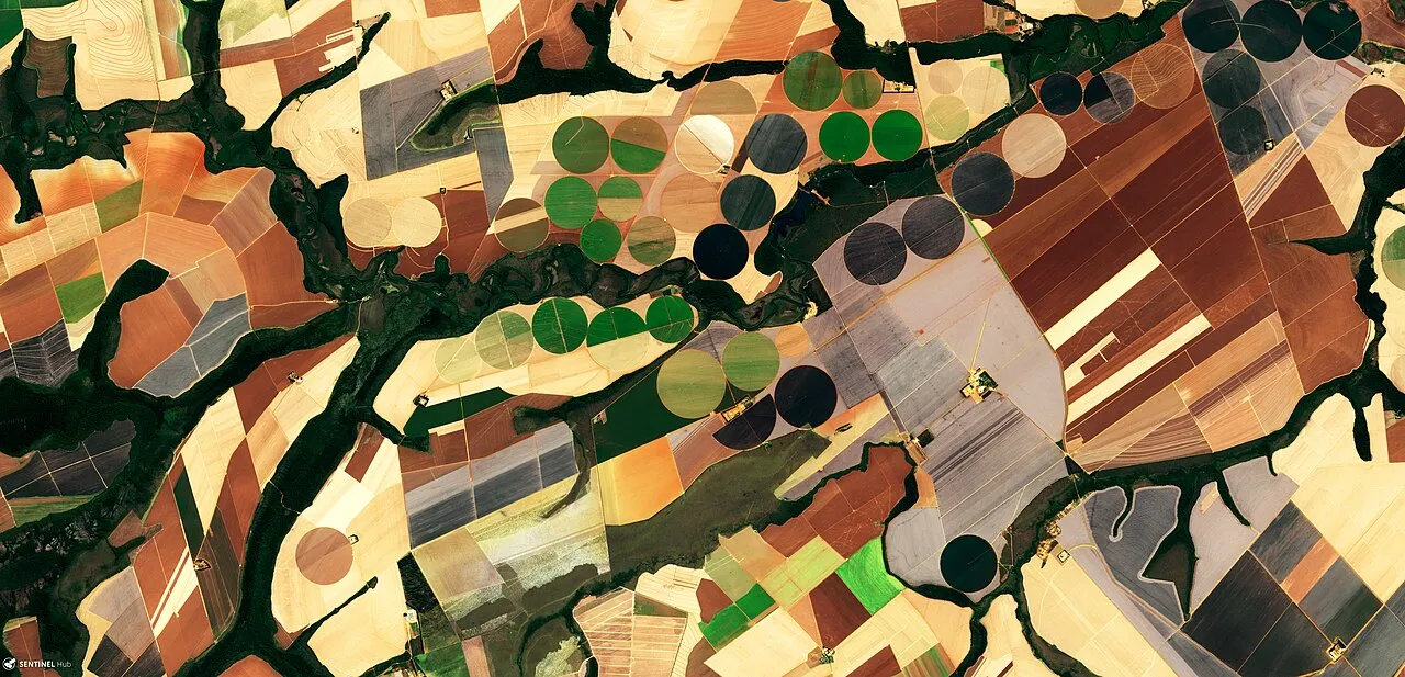 Imagem de satélite mostra talhões de soja em Primavera do Leste, em Mato Grosso