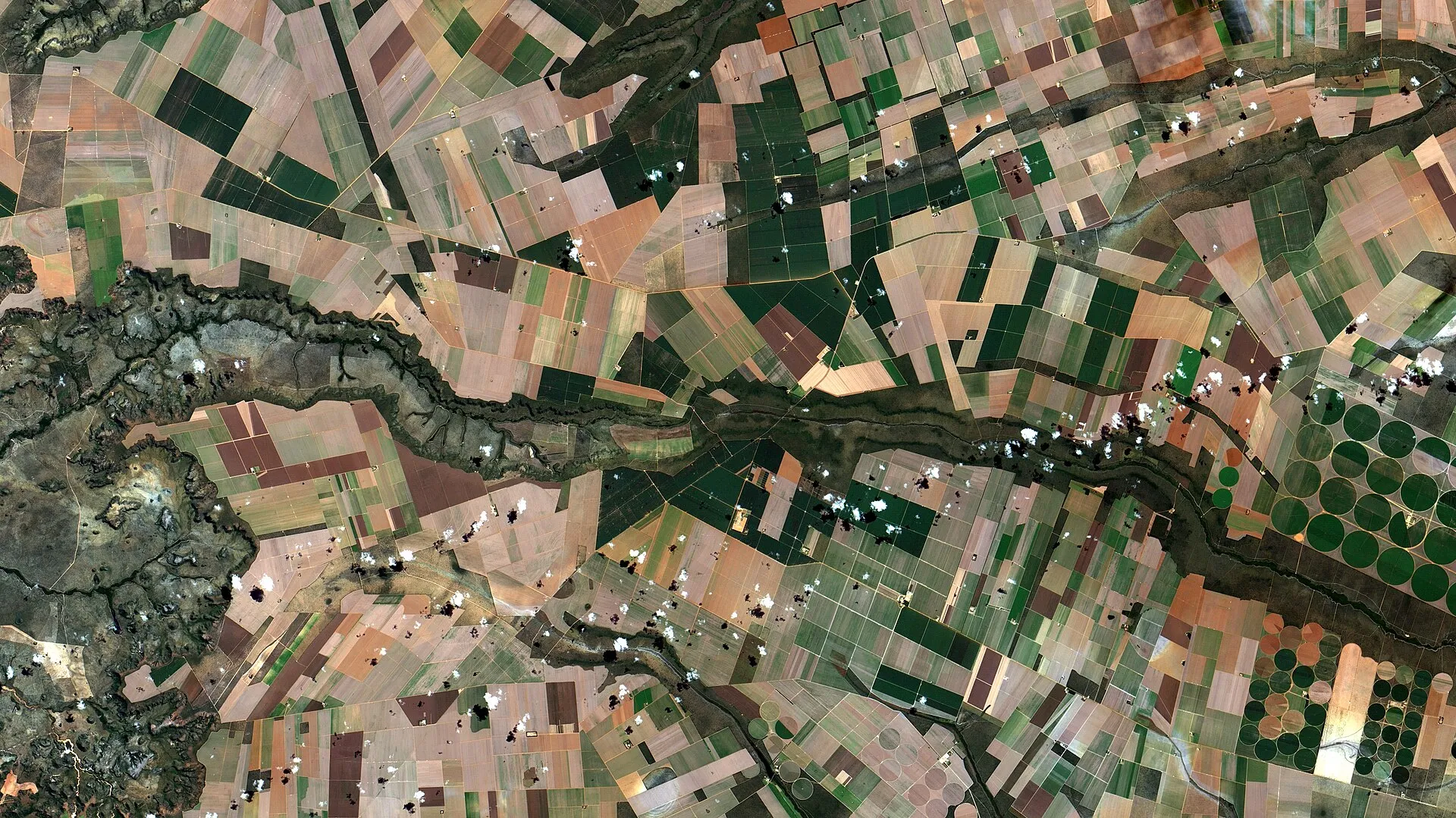 Imagem de satélite de lavouras no oeste da Bahia, com campos em tons de verde e marrom e pivôs circulares de irrigação no canto direito