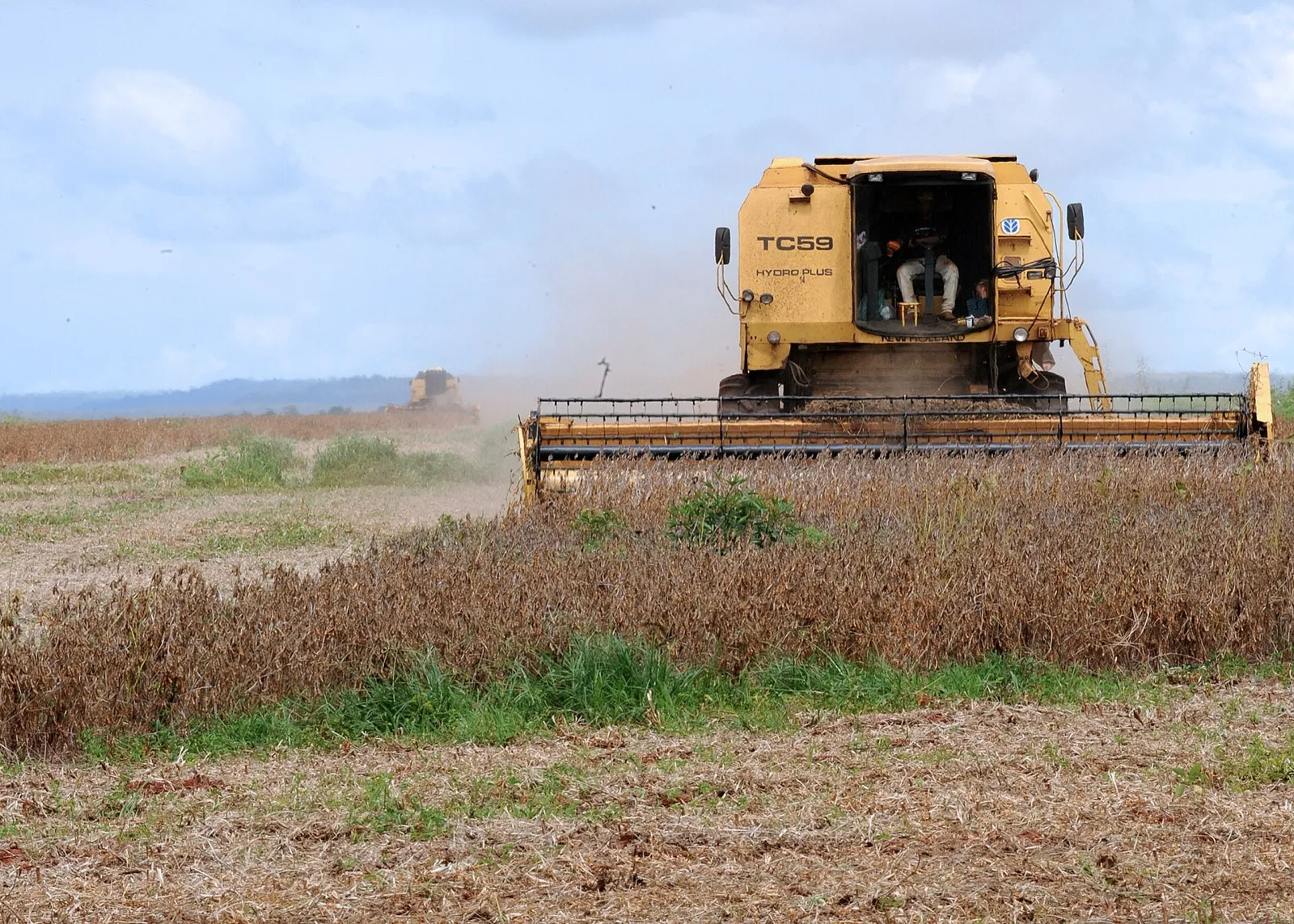 Colheitadeira amarela da marca New Holland colhe soja em uma lavoura de Rondonópolis, no Mato Grosso