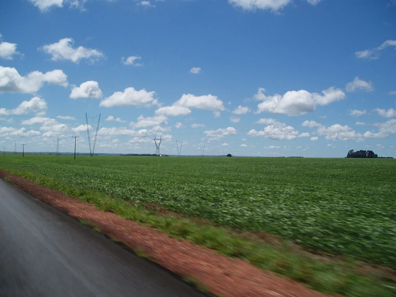 Lavoura de soja verde ao lado de uma estrada, com torres de energia ao fundo e céu azul com nuvens
