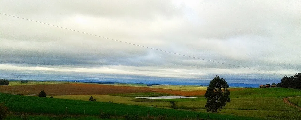 Lavouras de trigo em campo aberto em Rio Pardo, no Rio Grande do Sul